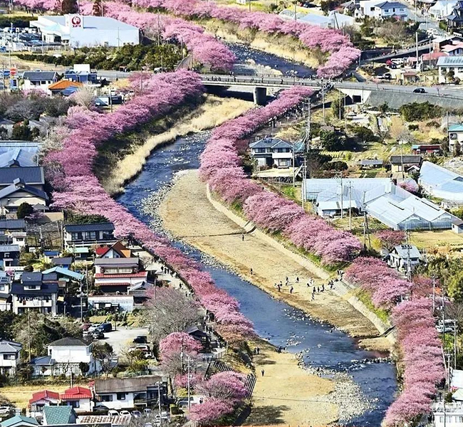 サポート